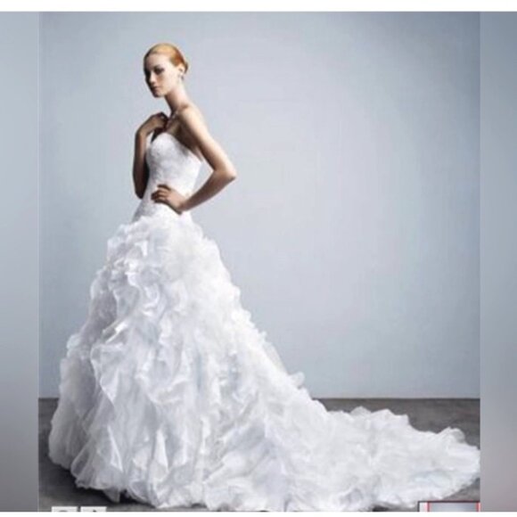 Monique Luo David's Bridal White Wedding Gown Size 8 CH515 - Picture 2 of 14